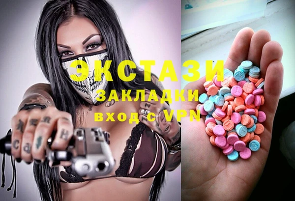 стаф Алзамай