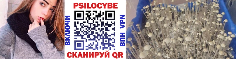Галлюциногенные грибы прущие грибы  Опочка 